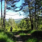 Prenocisca Miklavcic בית הארחה 3*