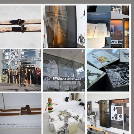 Prenocisca Miklavcic Pensionat 3*