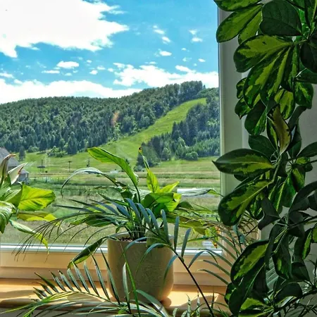 Prenocisca Miklavcic 招待所