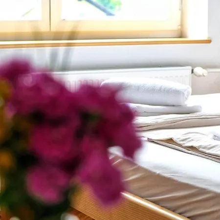 Prenocisca Miklavcic