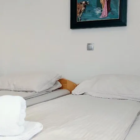 Prenocisca Miklavcic 3*