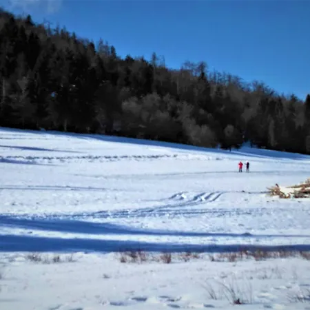 Prenocisca Miklavcic Affittacamere