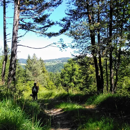 Prenocisca Miklavcic Affittacamere 3*