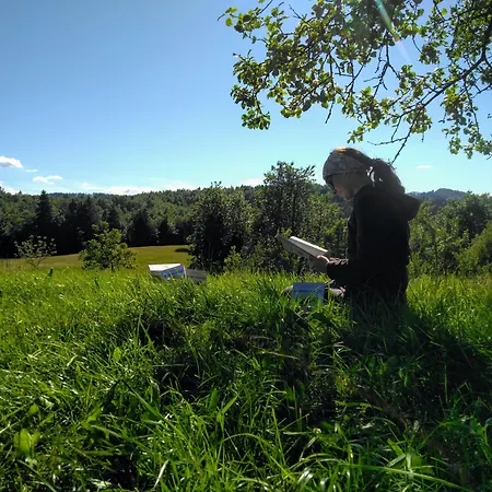 Prenocisca Miklavcic Hiša za goste Nova Vas (Bloke)