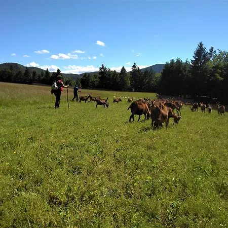 Hiša za goste Prenocisca Miklavcic
