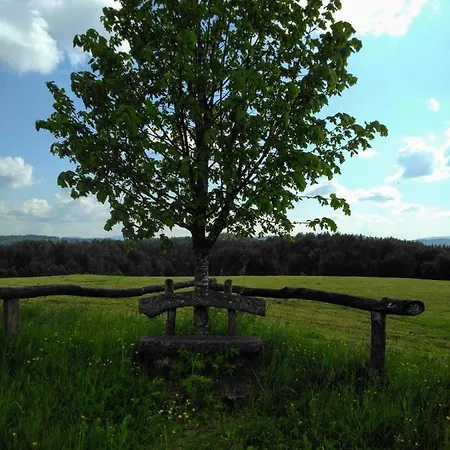 Prenocisca Miklavcic Pensionat