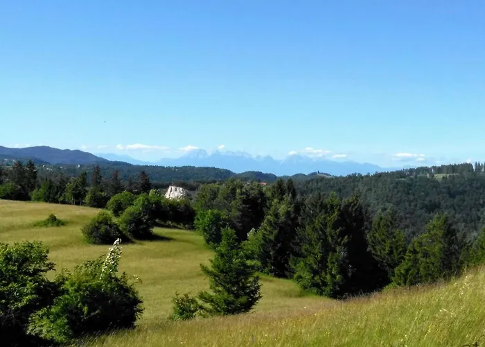 Prenocisca Miklavcic Nova Vas (Bloke)