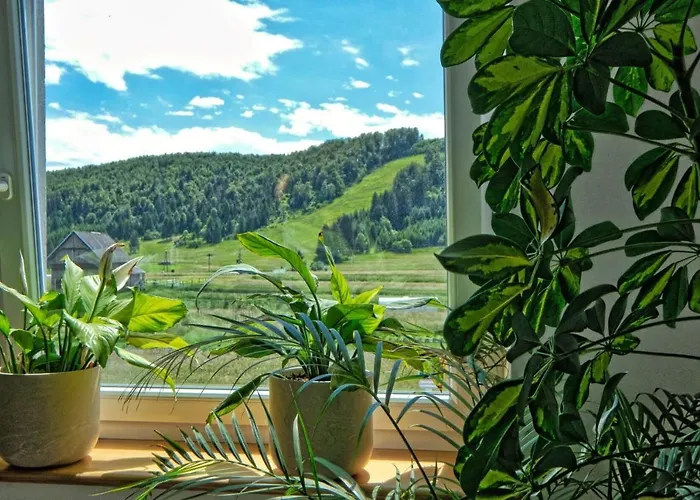 Prenocisca Miklavcic Gasthuis