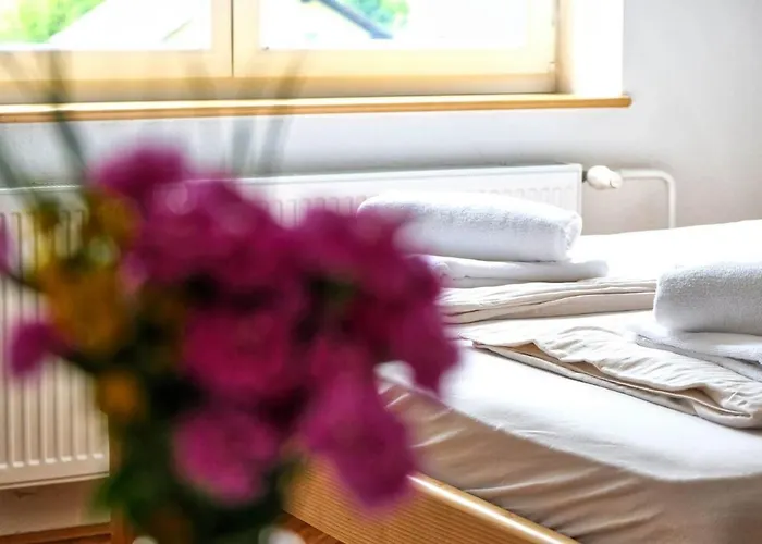 Prenocisca Miklavcic