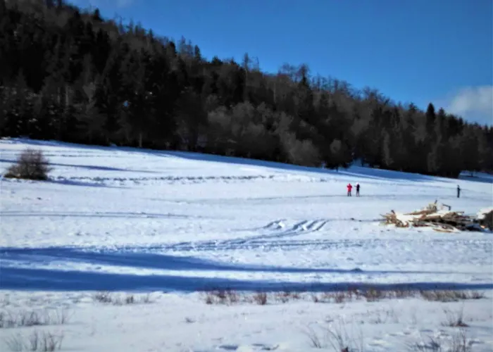 Prenocisca Miklavcic Affittacamere