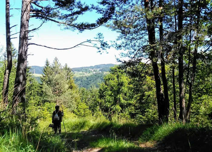 Prenocisca Miklavcic Affittacamere 3*