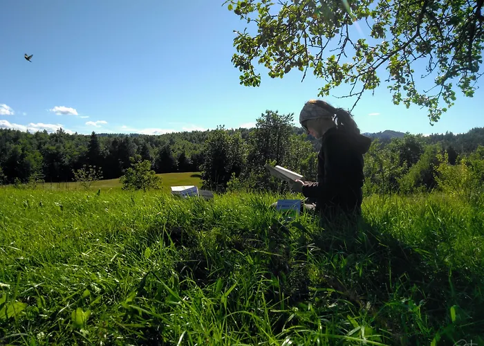 Prenocisca Miklavcic Affittacamere Nova Vas (Bloke)