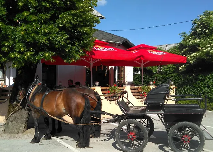 Affittacamere Prenocisca Miklavcic Nova Vas (Bloke)