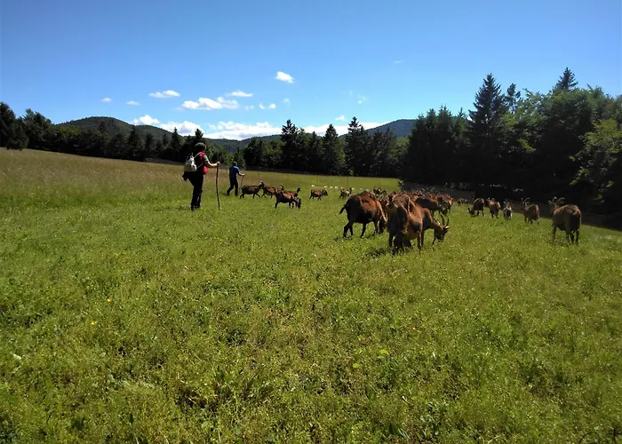 Affittacamere Prenocisca Miklavcic