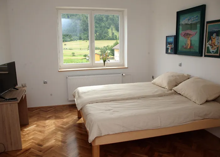 Prenocisca Miklavcic